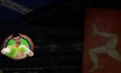 拳击明星赛截图1