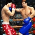 拳击明星赛