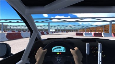 泥土拉力赛车(Rally Racer Dirt)