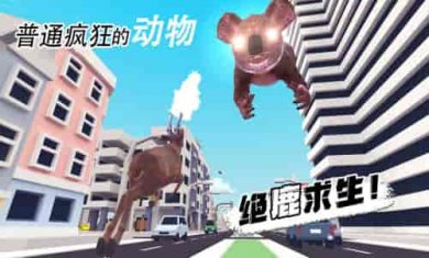 普通疯狂的动物截图1