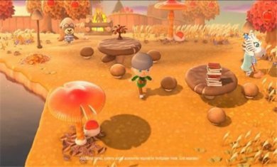 动物深友会游戏