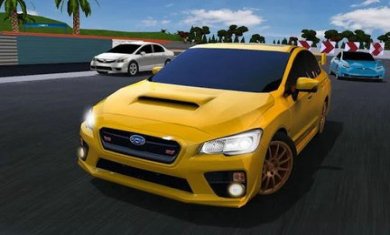 速度驾驶模拟器DriveforSpeedSimulator