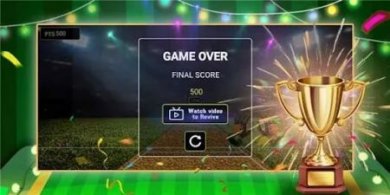 棒球投球手(Cricket Bowler)截图1