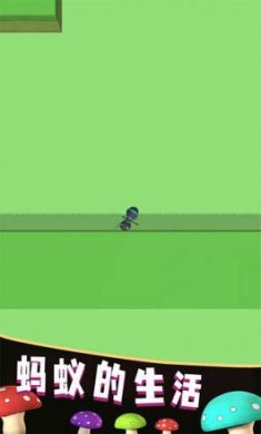 蚂蚁的生活截图1