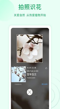 识花草