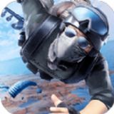 刺激吃鸡求生游戏