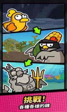 鸭子VS鸡闲置防御(duckchicken)截图3