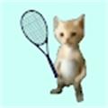 猫猫网球(Cat Tennis Champion)