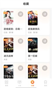 小歪看小说截图3