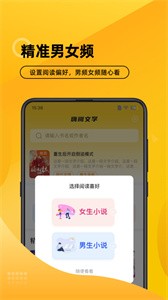 嗨阅文学小说截图2