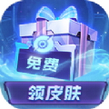 皮肤荣耀游戏