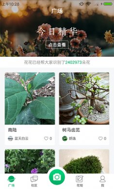 花花识花手机版截图1