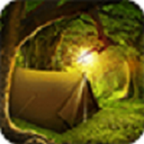 热带森林安卓版