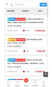 逆光代售平台截图2