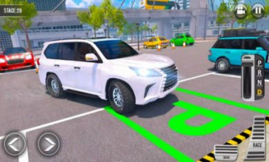 停车模拟器大师