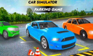 停车模拟器大师