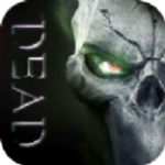 精灵盛典：黎明