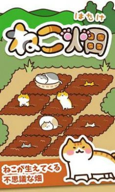 猫咪田园安卓版