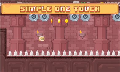 猫咪骑士的故事