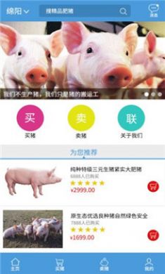 交猪宝app安卓版