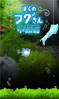 我的河豚水族馆