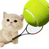 猫网球明星