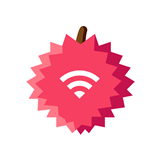 荔芝wifi软件