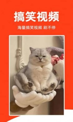 全民视频刷刷截图4