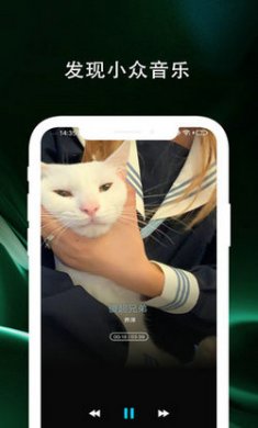 百年爱听音乐截图4