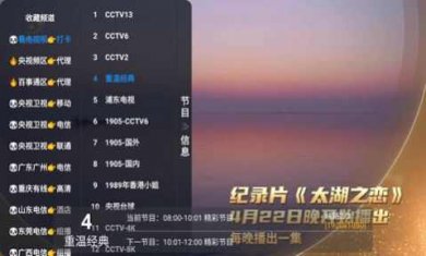 西夏TV0409