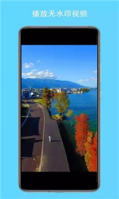 抖无印下载器截图3