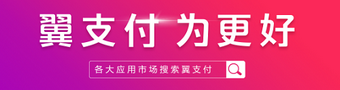 翼支付2023合集