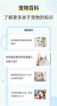 猫咪翻译器