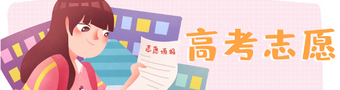 高考志愿2023合集