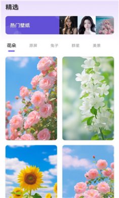 馏馏桌面组件王截图3