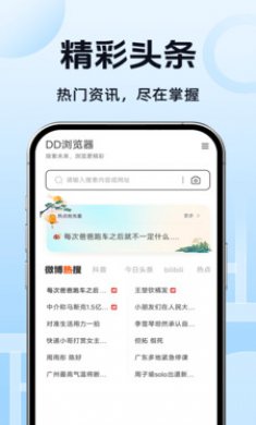 DQ浏览器截图4