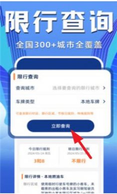 123驾驶违章查询截图4