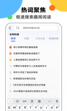 KS浏览器截图3