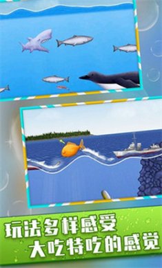 美味海洋截图1
