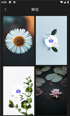 锁屏壁纸王截图2