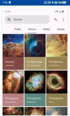 Phocid(音乐播放器)截图1