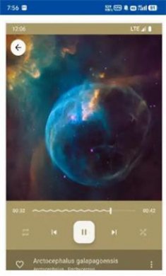 Phocid(音乐播放器)截图2