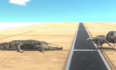 动物世界对决截图4