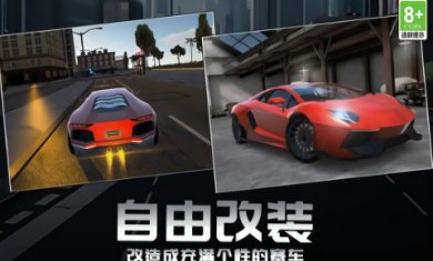 赛道狂野王者截图3