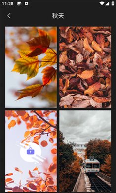 壁纸头像大全截图3