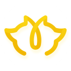 搜狐狐友官网版