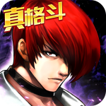 迷你火柴人拳皇2019安卓版