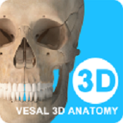 维萨里3D解剖教学