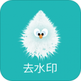 快抖去水印大师