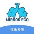 镜象专家